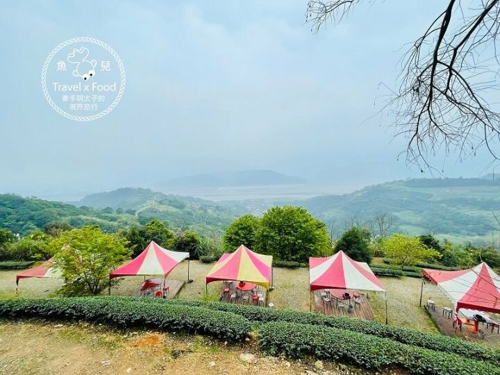 免門票，開車即可抵達的高山茶園，春天櫻花季必訪！雲霧飄渺的玉蘭茶園～ @魚兒 x 牽手明太子的「視」界旅行