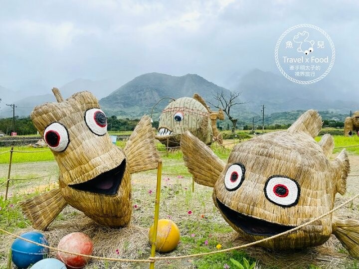 大猩猩現身!與海底動物一同遨遊~免門票稻草藝術季,花蓮富里鄉農會羅山展售中心,一起來文青 @魚兒 x 牽手明太子的「視」界旅行