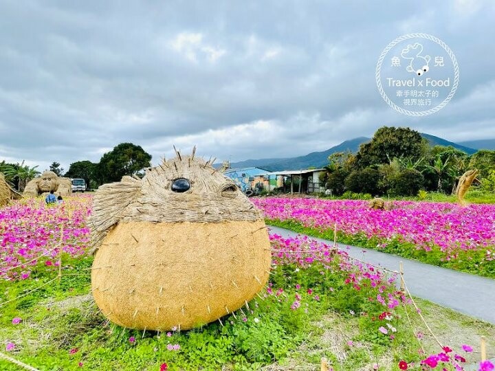 大猩猩現身!與海底動物一同遨遊~免門票稻草藝術季,花蓮富里鄉農會羅山展售中心,一起來文青 @魚兒 x 牽手明太子的「視」界旅行