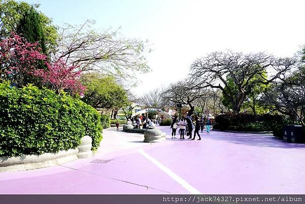 DSC01796.jpg DSC01796.jpg