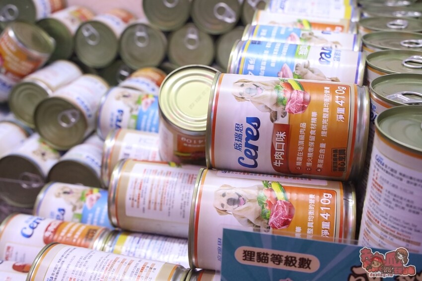 【台南娛樂】狸貓太子！台南最潮最可愛的娃娃機店，根本就是網美們的拍照天堂~ - 熱血玩台南。跳躍新世界