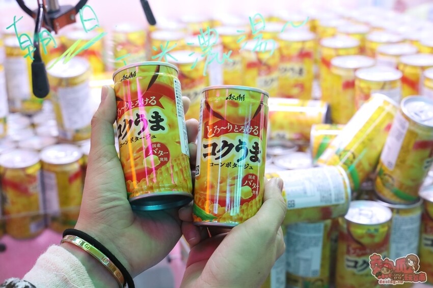 【台南娛樂】狸貓太子！台南最潮最可愛的娃娃機店，根本就是網美們的拍照天堂~ - 熱血玩台南。跳躍新世界