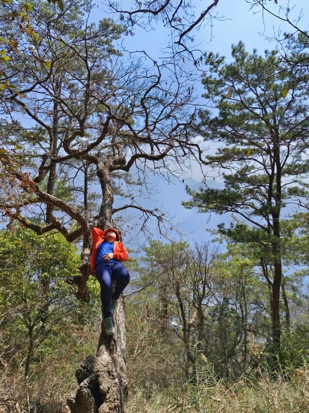 47336.jpg - 【台中.谷關】谷關七雄之東卯山。平緩好走後段0.5K石曝+大岩石+超美展望來回14K 47336.jpg - 【台中.谷關】谷關七雄之東卯山。平緩好走後段0.5K石曝+大岩石+超美展望來回14K