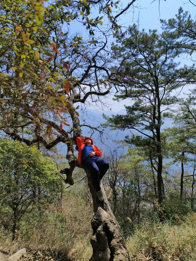 46418.jpg - 【台中.谷關】谷關七雄之東卯山。平緩好走後段0.5K石曝+大岩石+超美展望來回14K 46418.jpg - 【台中.谷關】谷關七雄之東卯山。平緩好走後段0.5K石曝+大岩石+超美展望來回14K