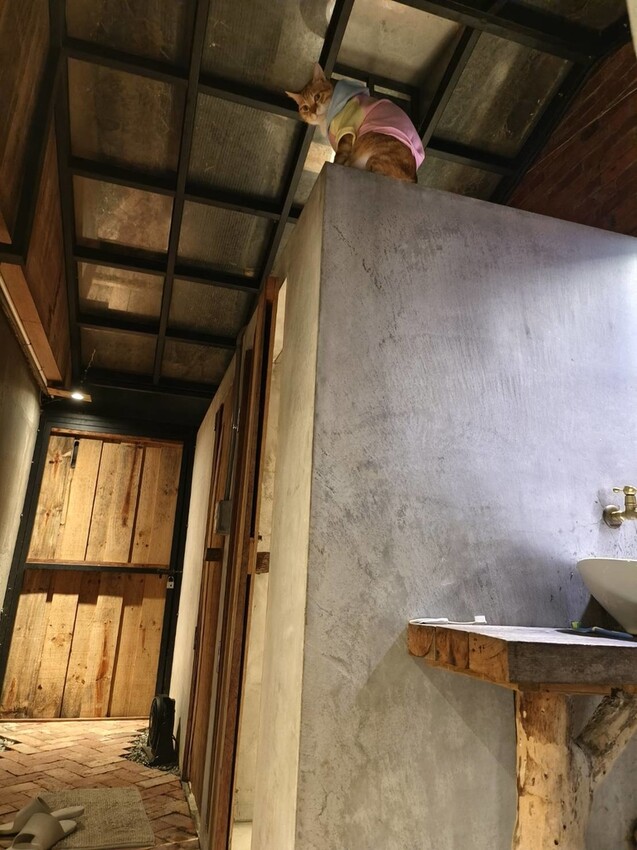 51637.jpg - 【宜蘭】小雨林寵物友善民宿。一個可以自在冥想+放空+禪意十足的美好空間+購無菜單料理+購房間內spa