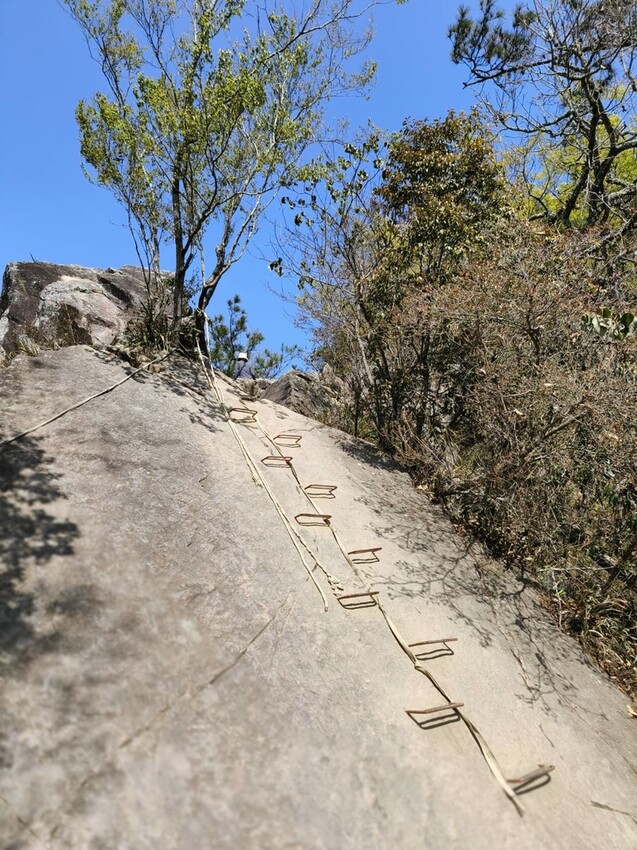 47402.jpg - 【台中.谷關】谷關七雄之東卯山。平緩好走後段0.5K石曝+大岩石+超美展望來回14K 47402.jpg - 【台中.谷關】谷關七雄之東卯山。平緩好走後段0.5K石曝+大岩石+超美展望來回14K