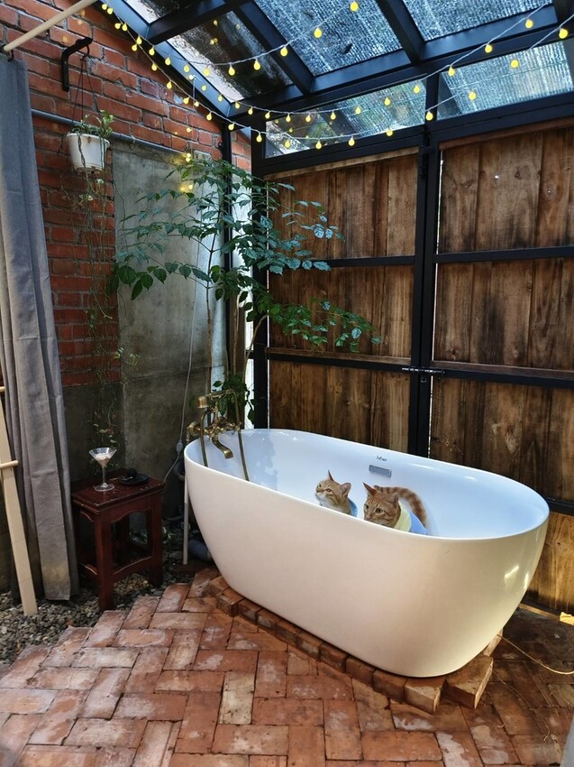 51669.jpg - 【宜蘭】小雨林寵物友善民宿。一個可以自在冥想+放空+禪意十足的美好空間+購無菜單料理+購房間內spa