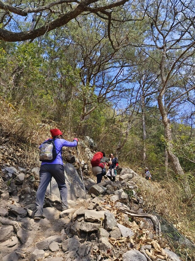 47338.jpg - 【台中.谷關】谷關七雄之東卯山。平緩好走後段0.5K石曝+大岩石+超美展望來回14K 47338.jpg - 【台中.谷關】谷關七雄之東卯山。平緩好走後段0.5K石曝+大岩石+超美展望來回14K