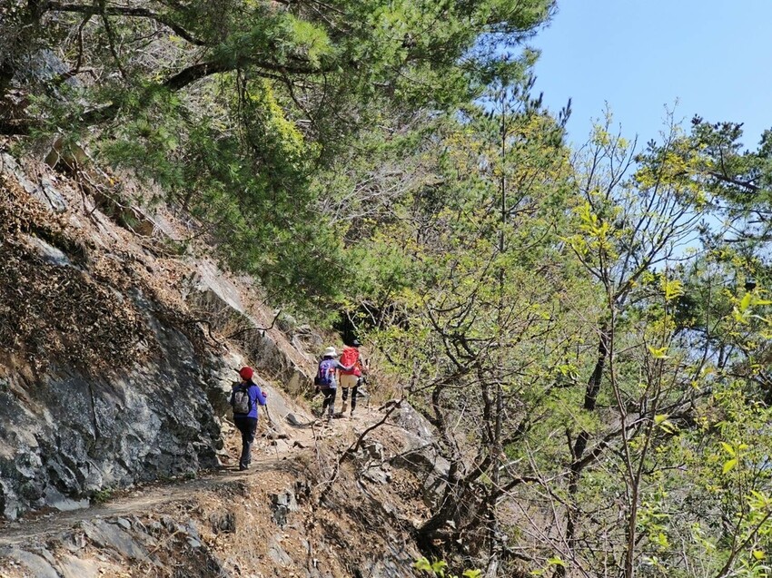 47417.jpg - 【台中.谷關】谷關七雄之東卯山。平緩好走後段0.5K石曝+大岩石+超美展望來回14K 47417.jpg - 【台中.谷關】谷關七雄之東卯山。平緩好走後段0.5K石曝+大岩石+超美展望來回14K