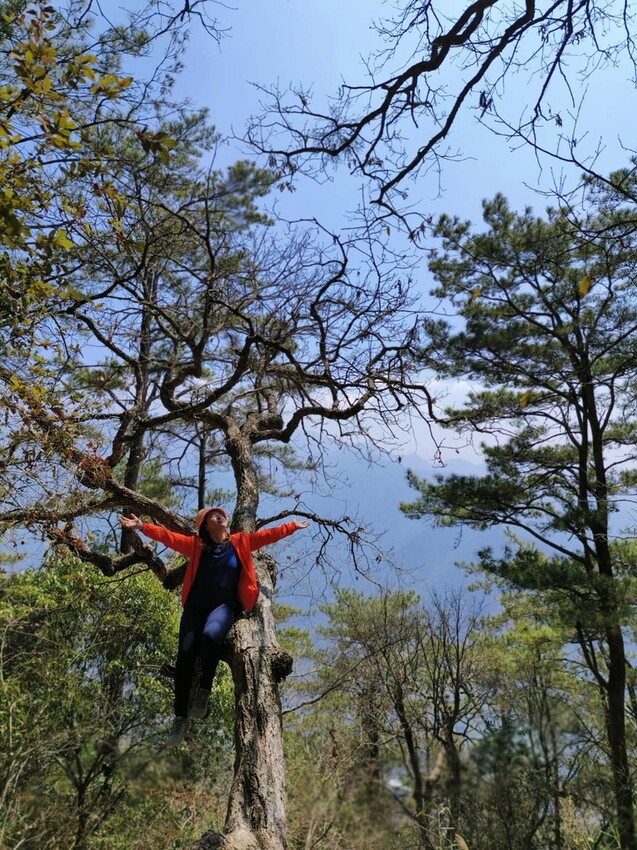47473.jpg - 【台中.谷關】谷關七雄之東卯山。平緩好走後段0.5K石曝+大岩石+超美展望來回14K 47473.jpg - 【台中.谷關】谷關七雄之東卯山。平緩好走後段0.5K石曝+大岩石+超美展望來回14K