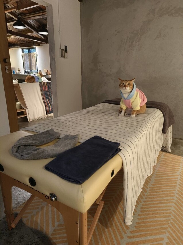 51665.jpg - 【宜蘭】小雨林寵物友善民宿。一個可以自在冥想+放空+禪意十足的美好空間+購無菜單料理+購房間內spa