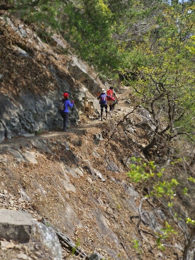 47341.jpg - 【台中.谷關】谷關七雄之東卯山。平緩好走後段0.5K石曝+大岩石+超美展望來回14K 47341.jpg - 【台中.谷關】谷關七雄之東卯山。平緩好走後段0.5K石曝+大岩石+超美展望來回14K