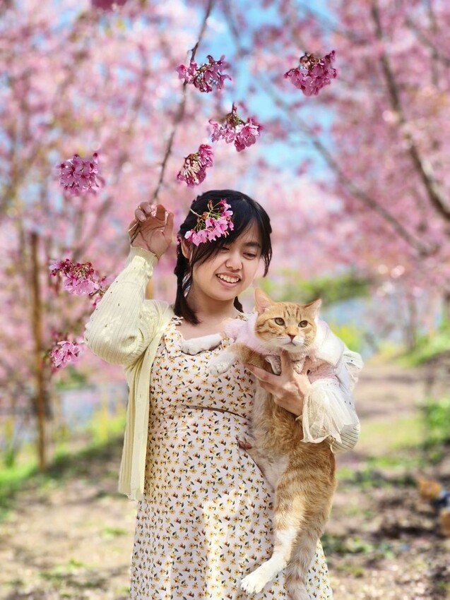 44287.jpg - 【新竹.尖石鄉】2023最新賞櫻免費景點。財伯觀光果園。櫻花+水蜜桃花+李花。寵物友善帶愛犬愛貓來拍