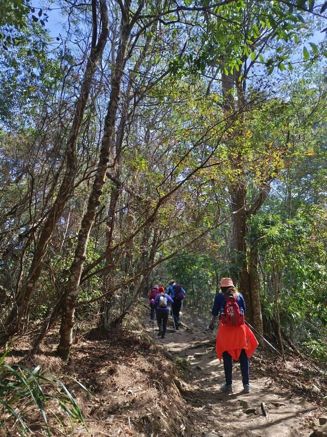 47422.jpg - 【台中.谷關】谷關七雄之東卯山。平緩好走後段0.5K石曝+大岩石+超美展望來回14K 47422.jpg - 【台中.谷關】谷關七雄之東卯山。平緩好走後段0.5K石曝+大岩石+超美展望來回14K