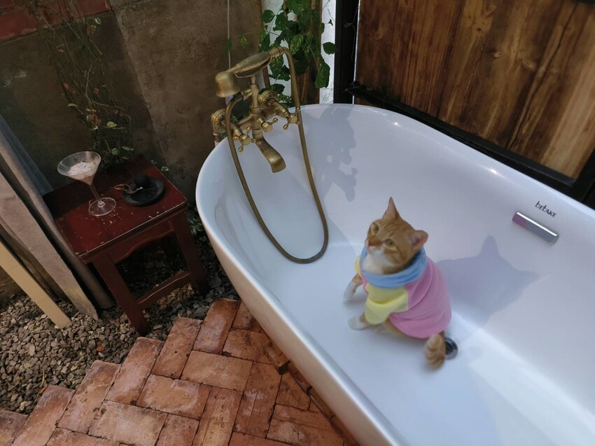 51672.jpg - 【宜蘭】小雨林寵物友善民宿。一個可以自在冥想+放空+禪意十足的美好空間+購無菜單料理+購房間內spa