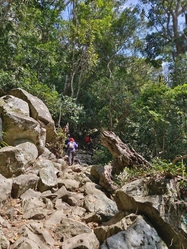 47415.jpg - 【台中.谷關】谷關七雄之東卯山。平緩好走後段0.5K石曝+大岩石+超美展望來回14K 47415.jpg - 【台中.谷關】谷關七雄之東卯山。平緩好走後段0.5K石曝+大岩石+超美展望來回14K