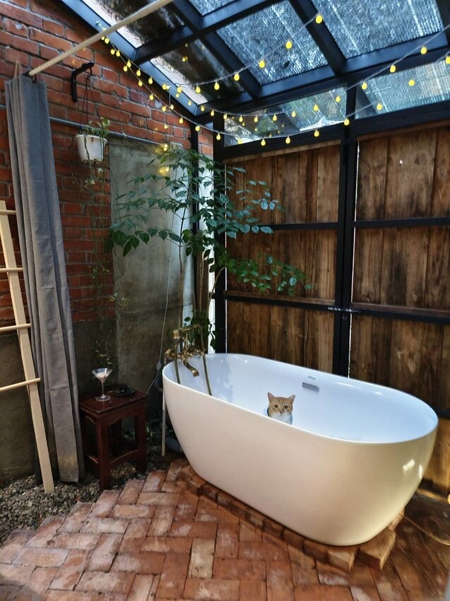 51668.jpg - 【宜蘭】小雨林寵物友善民宿。一個可以自在冥想+放空+禪意十足的美好空間+購無菜單料理+購房間內spa