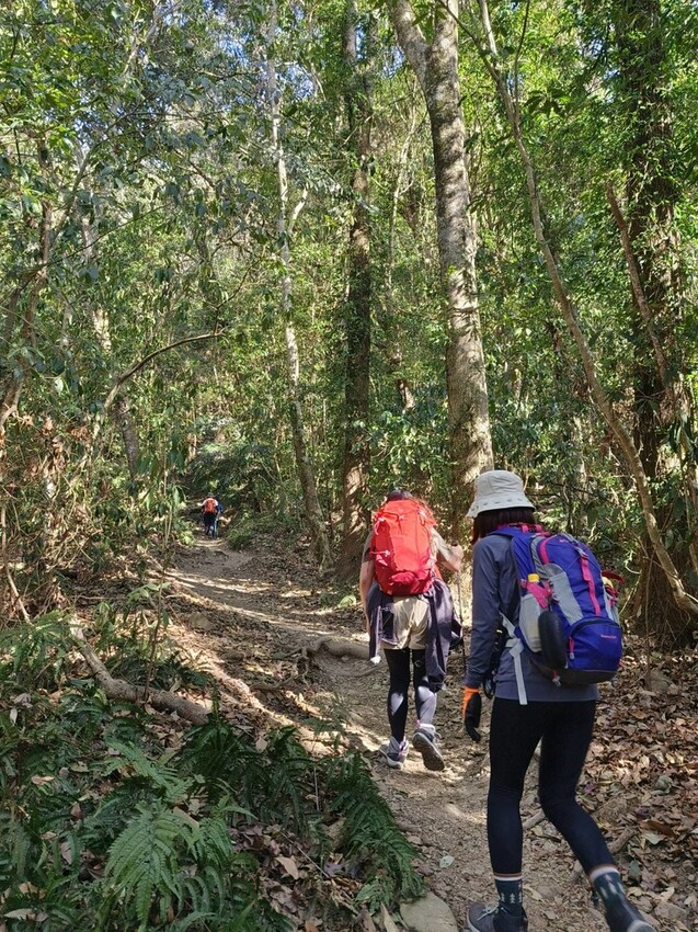 47432.jpg - 【台中.谷關】谷關七雄之東卯山。平緩好走後段0.5K石曝+大岩石+超美展望來回14K 47432.jpg - 【台中.谷關】谷關七雄之東卯山。平緩好走後段0.5K石曝+大岩石+超美展望來回14K