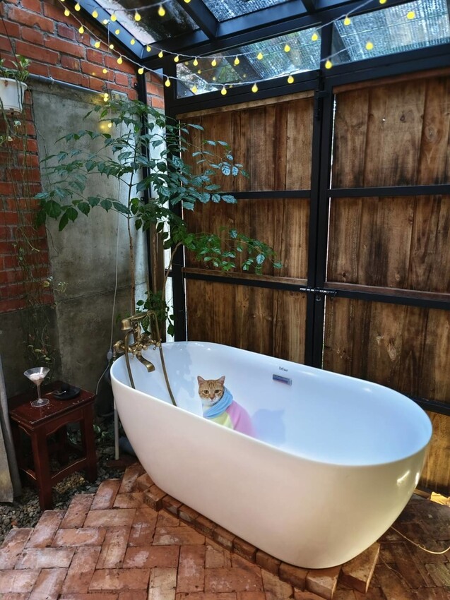 51671.jpg - 【宜蘭】小雨林寵物友善民宿。一個可以自在冥想+放空+禪意十足的美好空間+購無菜單料理+購房間內spa