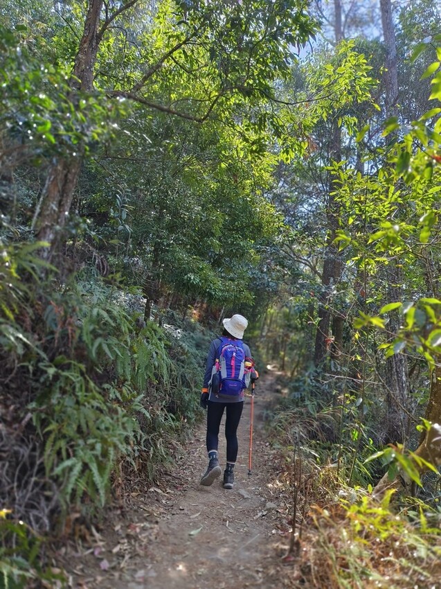 47421.jpg - 【台中.谷關】谷關七雄之東卯山。平緩好走後段0.5K石曝+大岩石+超美展望來回14K 47421.jpg - 【台中.谷關】谷關七雄之東卯山。平緩好走後段0.5K石曝+大岩石+超美展望來回14K