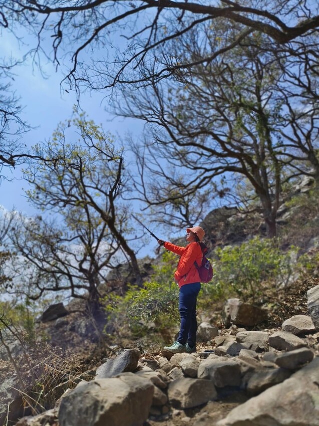 47339.jpg - 【台中.谷關】谷關七雄之東卯山。平緩好走後段0.5K石曝+大岩石+超美展望來回14K 47339.jpg - 【台中.谷關】谷關七雄之東卯山。平緩好走後段0.5K石曝+大岩石+超美展望來回14K