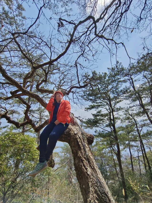 46425.jpg - 【台中.谷關】谷關七雄之東卯山。平緩好走後段0.5K石曝+大岩石+超美展望來回14K 46425.jpg - 【台中.谷關】谷關七雄之東卯山。平緩好走後段0.5K石曝+大岩石+超美展望來回14K