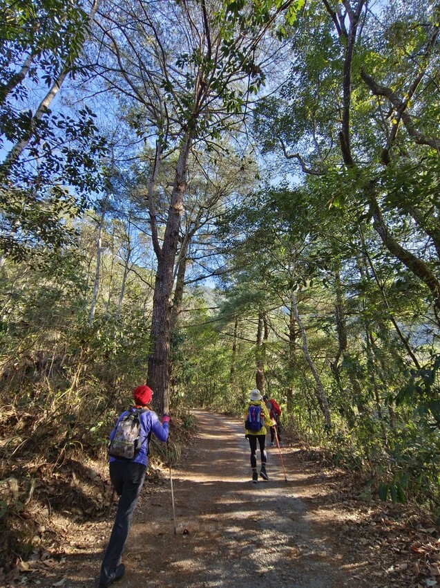 47436.jpg - 【台中.谷關】谷關七雄之東卯山。平緩好走後段0.5K石曝+大岩石+超美展望來回14K 47436.jpg - 【台中.谷關】谷關七雄之東卯山。平緩好走後段0.5K石曝+大岩石+超美展望來回14K