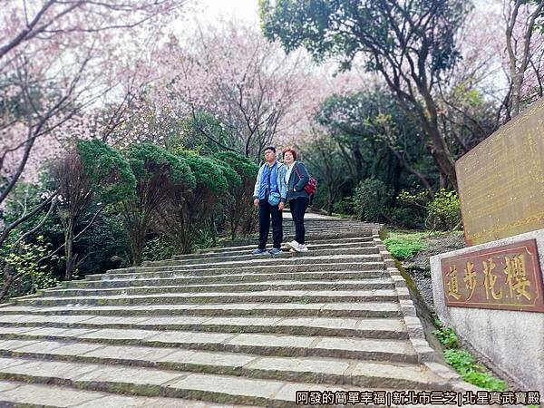 北星真武寶殿05-櫻花步道.jpg