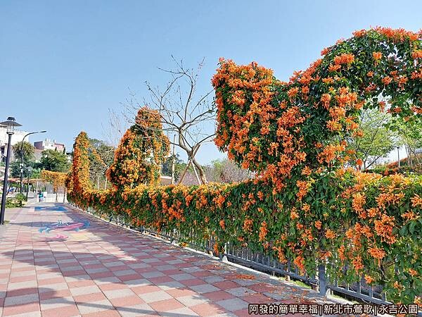 永吉公園03-公園左側炮仗花步道.jpg 永吉公園03-公園左側炮仗花步道.jpg