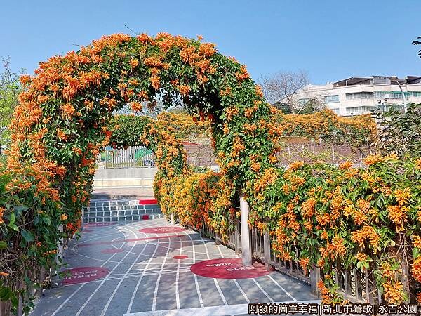 永吉公園10-炮仗花拱門往公園入口方向一景.jpg 永吉公園10-炮仗花拱門往公園入口方向一景.jpg