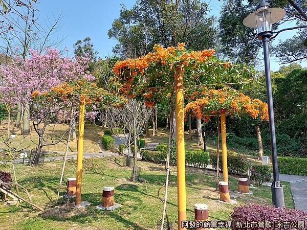永吉公園18-炮仗花涼亭.jpg 永吉公園18-炮仗花涼亭.jpg