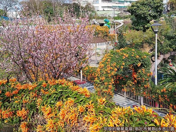 永吉公園06-公園右側望向左側的兒童遊戲場景象.jpg 永吉公園06-公園右側望向左側的兒童遊戲場景象.jpg