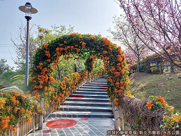永吉公園13-炮仗花拱門空橋下往上景色.jpg 永吉公園13-炮仗花拱門空橋下往上景色.jpg