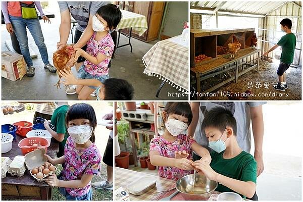 【宜蘭景點】日和3號農場｜豐富的食農教育 全家大小都適合｜撿雞蛋｜抱雞｜DIY鬆餅 #宜蘭親子景點 (24).jpg