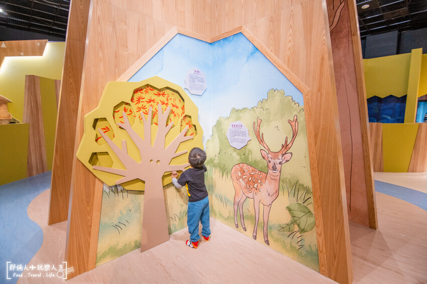 嘉義市立博物館｜全票50元，可從從一樓逛到三樓，處處都很精彩～