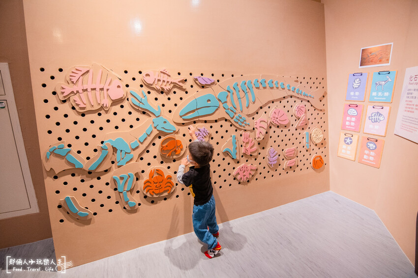 嘉義市立博物館｜全票50元，可從從一樓逛到三樓，處處都很精彩～