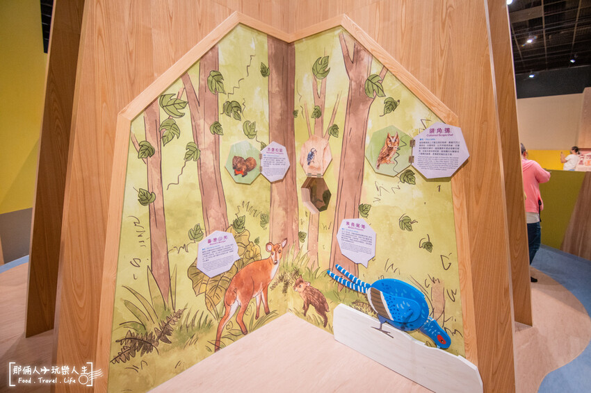 嘉義市立博物館｜全票50元，可從從一樓逛到三樓，處處都很精彩～