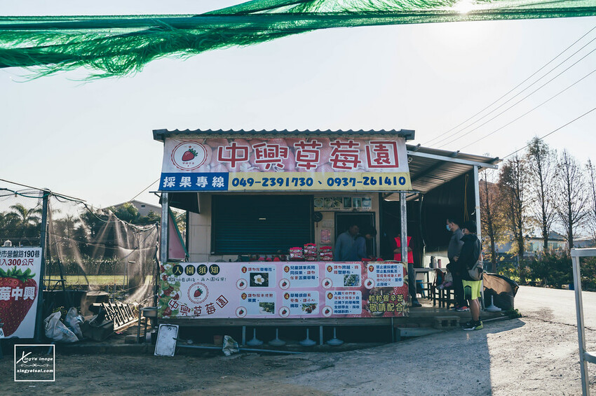 南投｜中興新村景點【中興草莓園】無農藥草莓 / 採草莓也要很可愛 / 1Y5M | 快門下的幸福