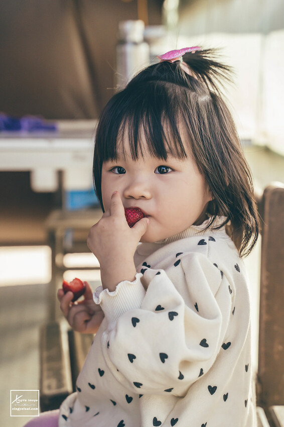 南投｜中興新村景點【中興草莓園】無農藥草莓 / 採草莓也要很可愛 / 1Y5M | 快門下的幸福