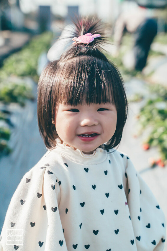 南投｜中興新村景點【中興草莓園】無農藥草莓 / 採草莓也要很可愛 / 1Y5M | 快門下的幸福