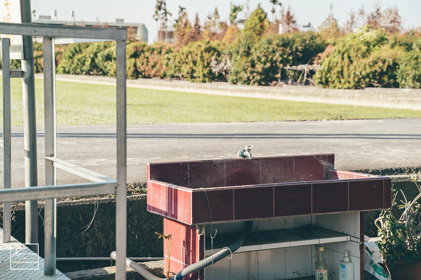 南投｜中興新村景點【中興草莓園】無農藥草莓 / 採草莓也要很可愛 / 1Y5M | 快門下的幸福