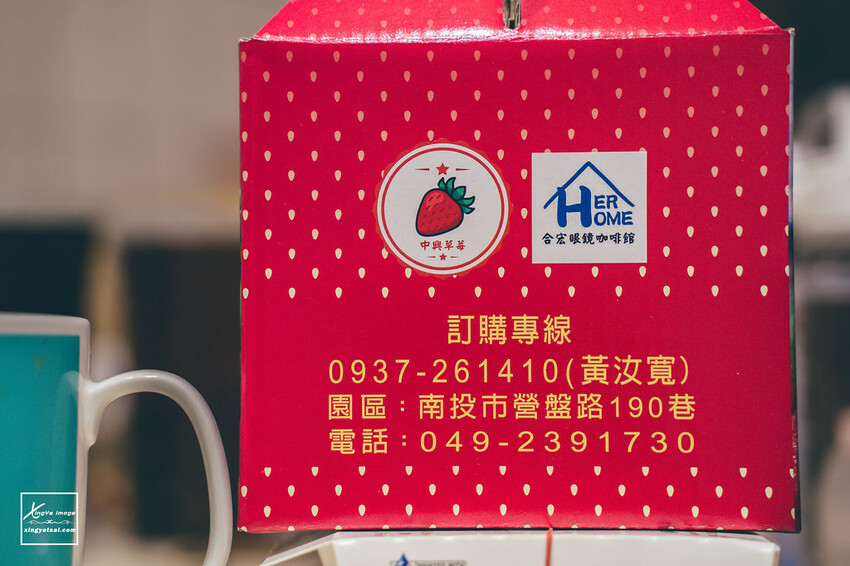 南投｜中興新村景點【中興草莓園】無農藥草莓 / 採草莓也要很可愛 / 1Y5M | 快門下的幸福