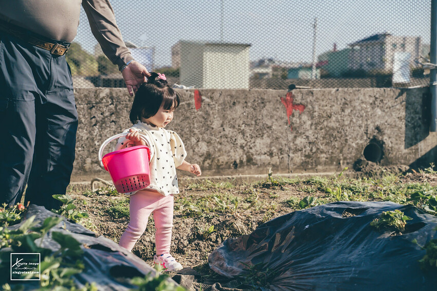 南投｜中興新村景點【中興草莓園】無農藥草莓 / 採草莓也要很可愛 / 1Y5M | 快門下的幸福