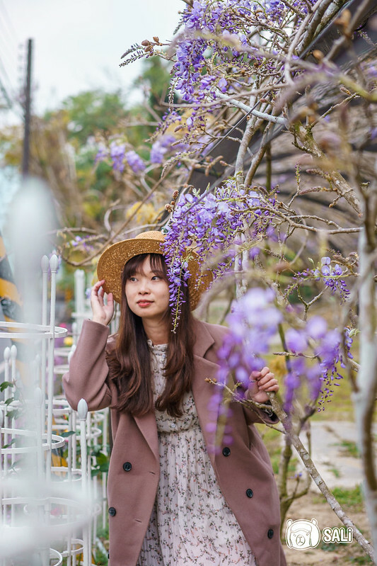 2023嘉義瑞里紫藤花季｜嘉義梅山瑞里兩日遊，期間限定紫色山城浪漫，還有竹林茶席、紫藤花茶席、布料槌染、手調茶包製作、咖啡手沖杯測及沖煮體驗