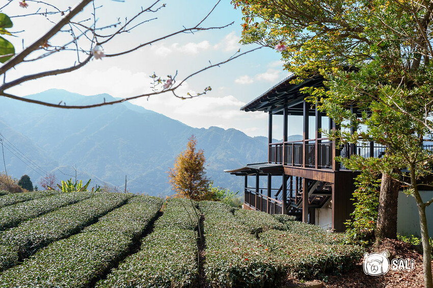 2023嘉義瑞里紫藤花季｜嘉義梅山瑞里兩日遊，期間限定紫色山城浪漫，還有竹林茶席、紫藤花茶席、布料槌染、手調茶包製作、咖啡手沖杯測及沖煮體驗