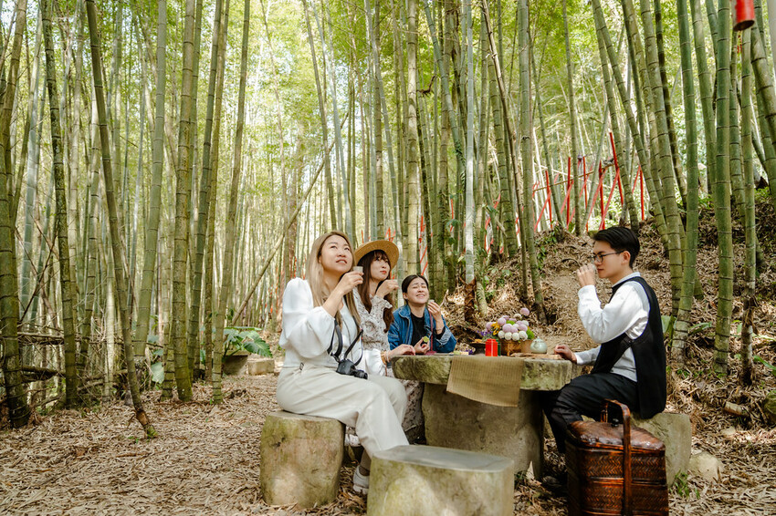 2023嘉義瑞里紫藤花季｜嘉義梅山瑞里兩日遊，期間限定紫色山城浪漫，還有竹林茶席、紫藤花茶席、布料槌染、手調茶包製作、咖啡手沖杯測及沖煮體驗