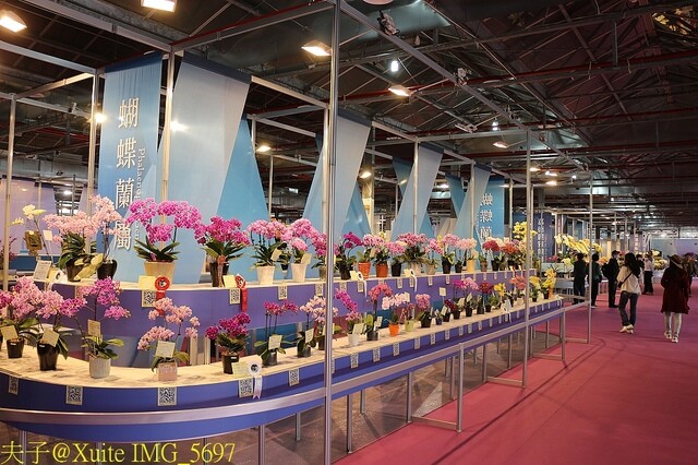 IMG_5697.jpg - 2023台灣國際蘭展