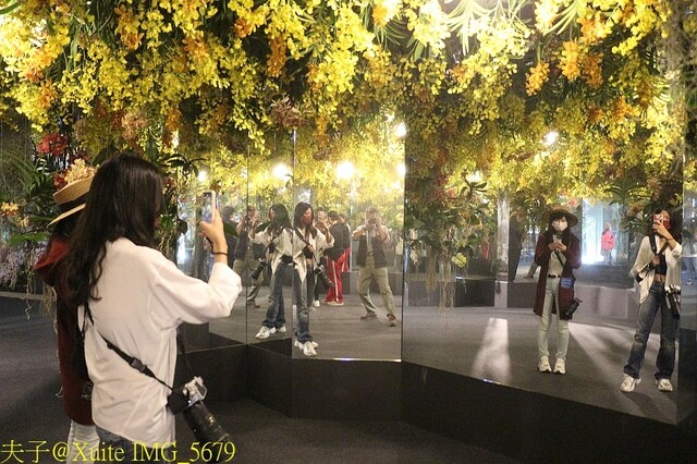 IMG_5679.jpg - 2023台灣國際蘭展