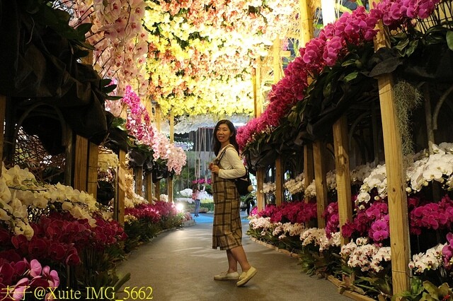 IMG_5662.jpg - 2023台灣國際蘭展