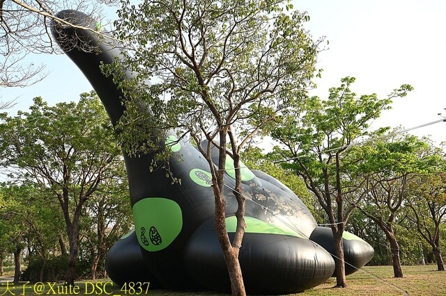 2023台灣國際蘭展 魔鏡世界 蘭花遇見恐龍